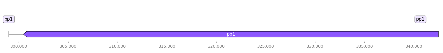 Prophage