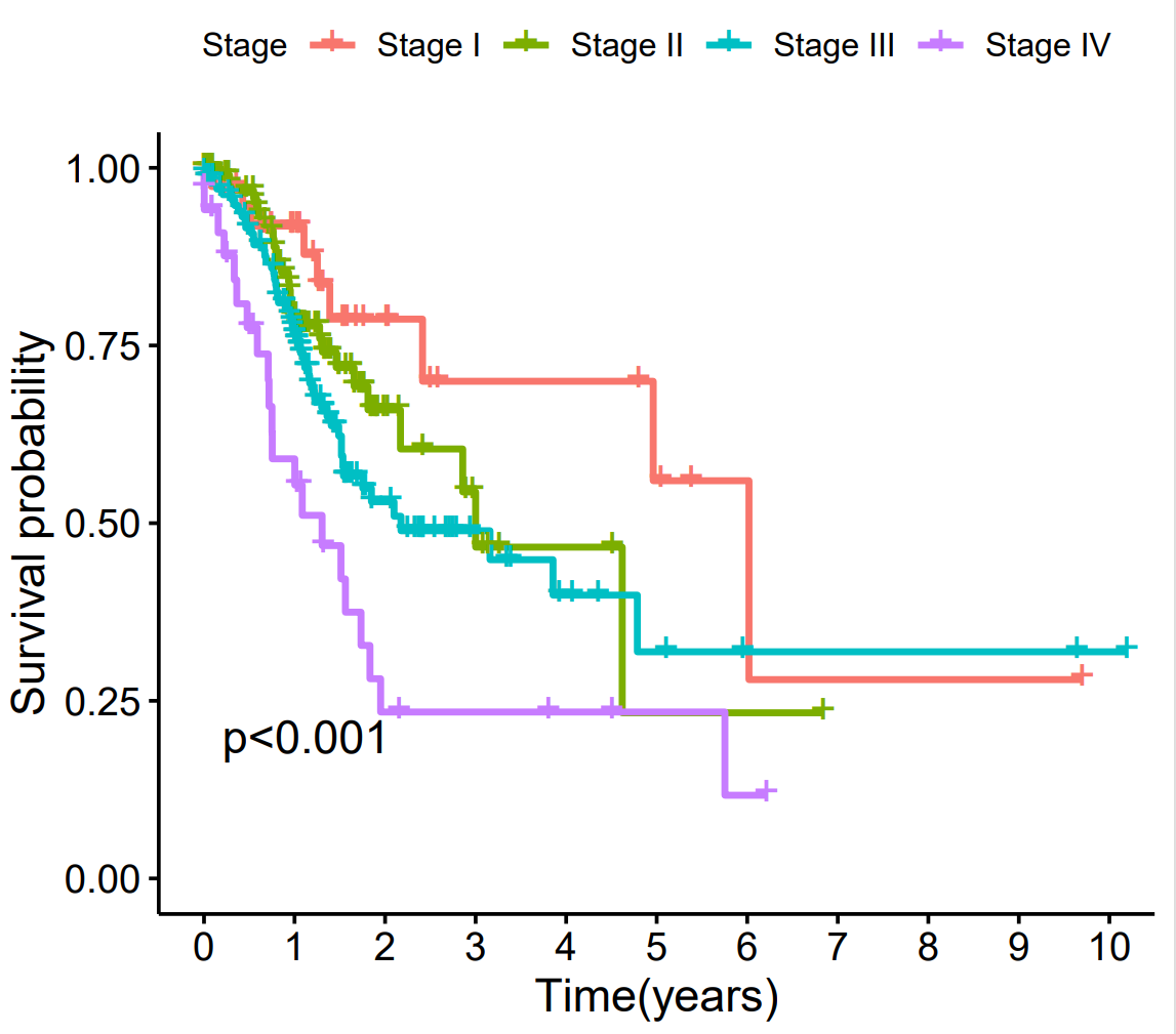 Survival Discrete Plot